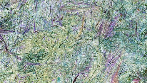 broderie (embroidery) 9 photographies 2/9 di Nicolas Lespagnol, Fotografia in vendita su Singulart