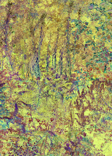 broderie (embroidery) 9 photographies 2/9 van Nicolas Lespagnol, Fotografie te koop op Singulart