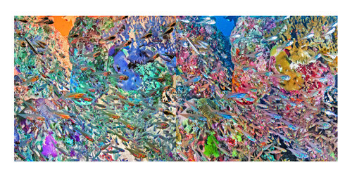 les contraires sont vrais (opposite are true) - flore sous marine 6/30 van Nicolas Lespagnol, Fotografie te koop op Singulart