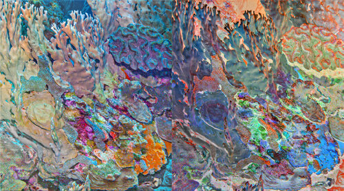 les contraires sont vrais (opposite are true) - flore sous marine 7/30 van Nicolas Lespagnol, Fotografie te koop op Singulart