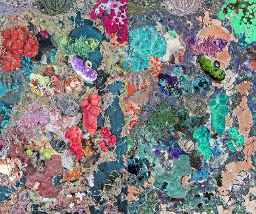les contraires sont vrais (opposite are true) - flore sous marine 2/30 di Nicolas Lespagnol, Fotografia in vendita su Singulart