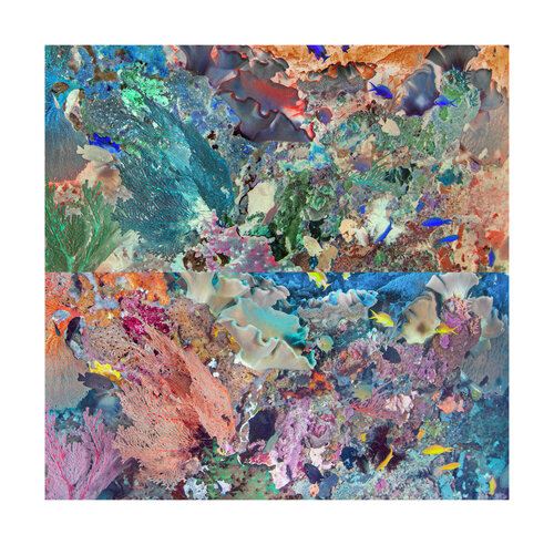 les contraires sont vrais (opposite are true) - flore sous marine 14/30 di Nicolas Lespagnol, Fotografia in vendita su Singulart