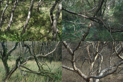 paysages soudés (welded landscapes) 40 photographies de Nicolas Lespagnol, Fotografía a la venta en Singulart