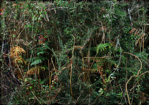 La all-over de Jackson Pollock de Nicolas Lespagnol, Fotografía a la venta en Singulart