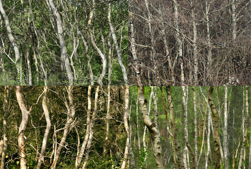paysages soudés (welded landscapes) 40 photographies Nicolas Lespagnol
