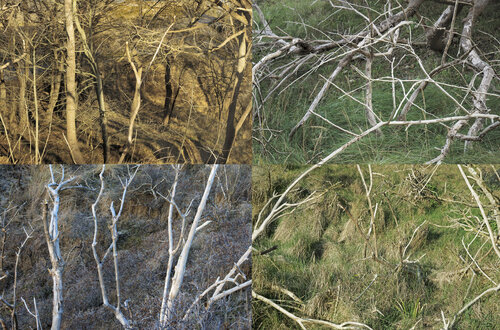 série "paysages soudés" (welded landscapes) 5/40 photgraphies di Nicolas Lespagnol, Fotografia in vendita su Singulart