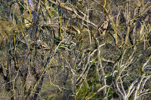 paysages soudés (welded landscapes) 40 photographies Nicolas Lespagnol