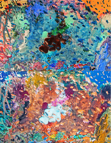 les contraires sont vrais (opposite are true)  - flore sous marine 3/12 by Nicolas Lespagnol, 사진 for Sale on Singulart