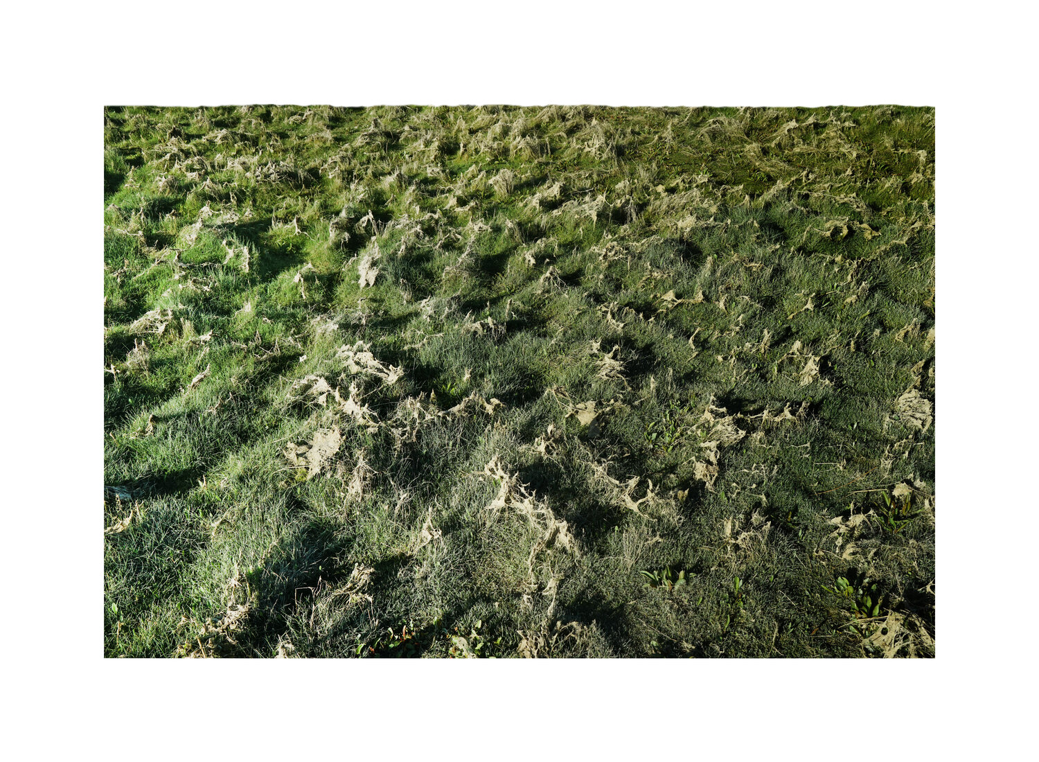 faux horizons 3/6 Nicolas Lespagnol