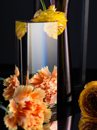 Plant Diffraction #2 von Christian Hagemann, Fotografie kaufen auf Singulart