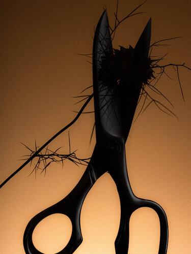 In Bloom #4 by Christian Hagemann, 사진 for Sale on Singulart