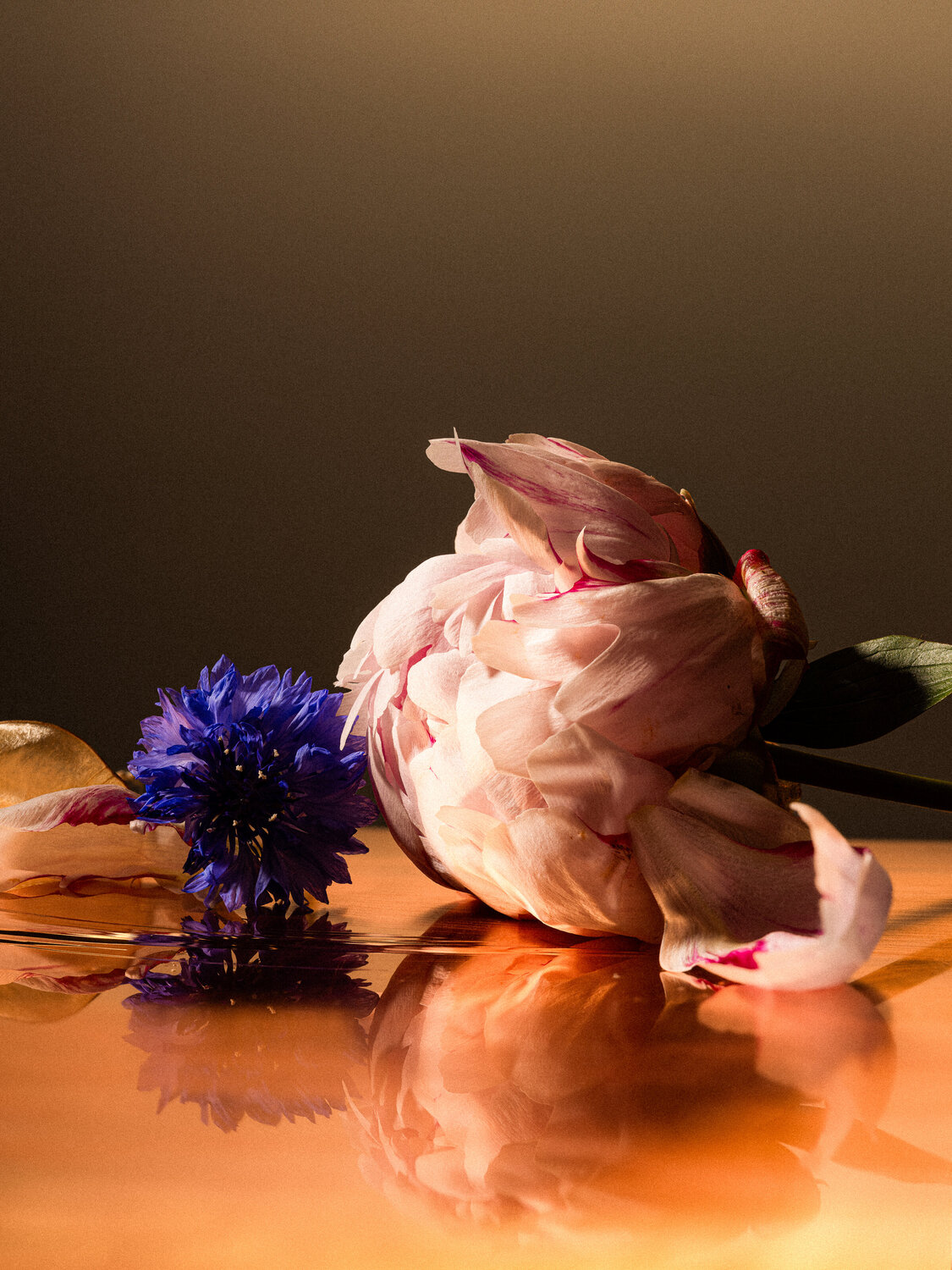 In Bloom #3 Christian Hagemann