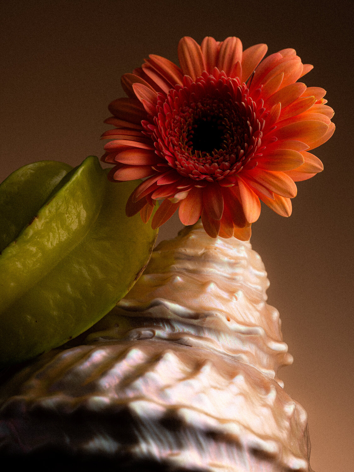 In Bloom #5 Christian Hagemann