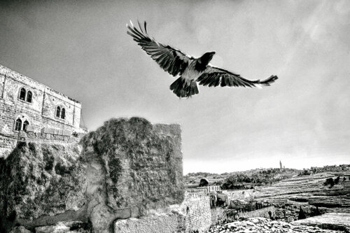 Birds eye view of East Jerusalem. Israel 2012 © Motty Levy di Motty Levy, Fotografia in vendita su Singulart