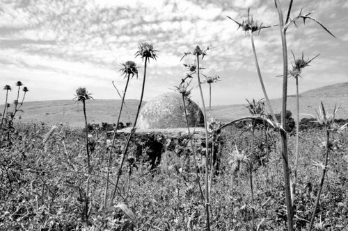Joseph's Pit; "according to one tradition, it is the one into which Joseph's brethren cast him into. von Motty Levy, Fotografie kaufen auf Singulart