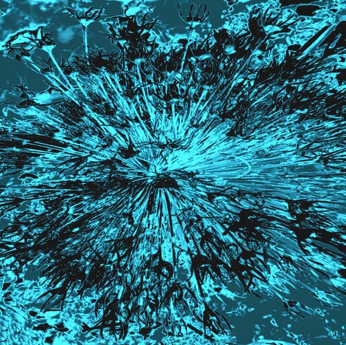 NATURE STAR blue von Jutta Leitner, Fotografie kaufen auf Singulart