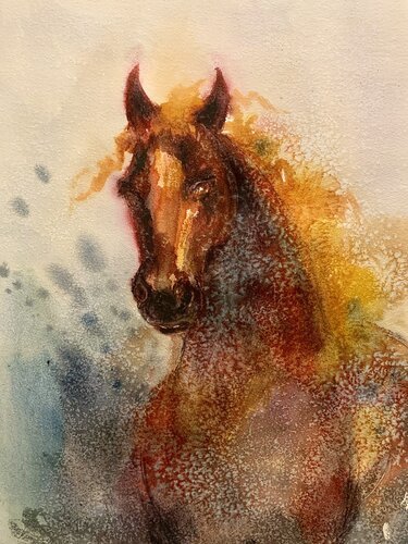 Fire Horse by Jelena Nemeth, Work on Paper for Sale on Singulart