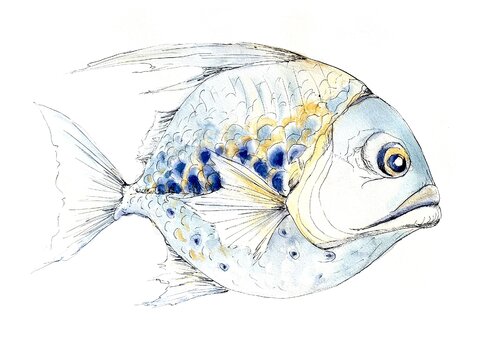 Bild Nr.:1, Serie: “ Nur die tote Fische schwimmen mit dem Strom!” by Jelena Nemeth, Painting for Sale on Singulart