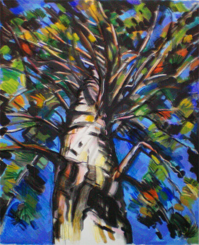 Old Pine Tree van Martin Andreas Kuster, Schilderij te koop op Singulart