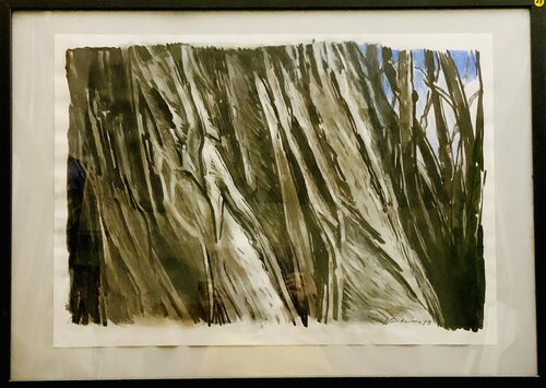 Old Bark van Martin Andreas Kuster, Schilderij te koop op Singulart