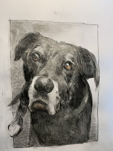 Flicka van Martin Andreas Kuster, Tekening te koop op Singulart