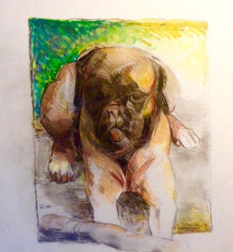 Monty van Martin Andreas Kuster, Tekening te koop op Singulart