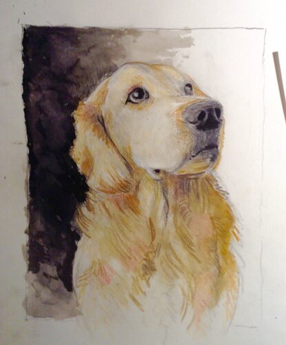 Sly van Martin Andreas Kuster, Tekening te koop op Singulart