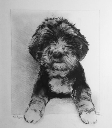 Toby van Martin Andreas Kuster, Tekening te koop op Singulart
