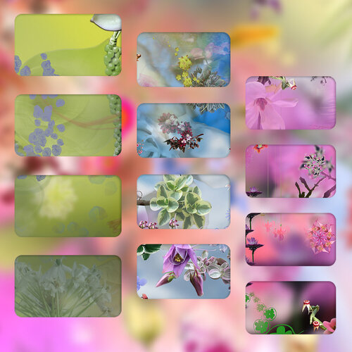 Floraison plurielle von Eric Koninckx, Fotografie kaufen auf Singulart