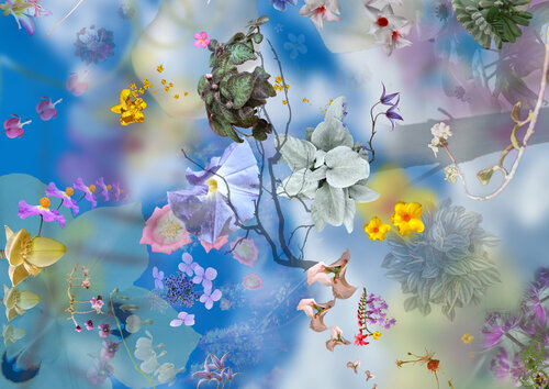 Flottaison végétale - Tableau floral contemplatif von Eric Koninckx, Fotografie kaufen auf Singulart