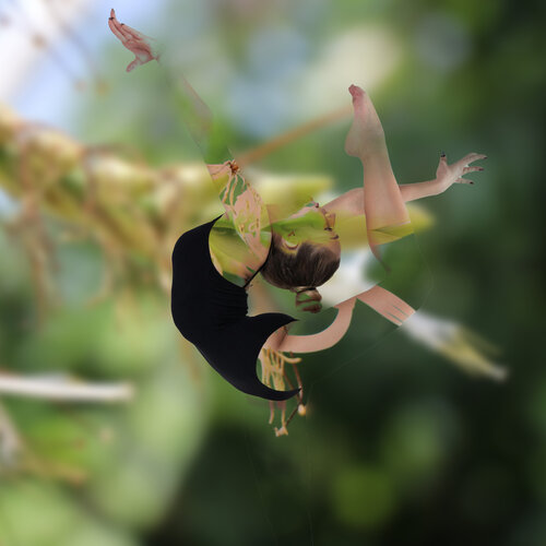 Liane humaine von Eric Koninckx, Fotografie kaufen auf Singulart