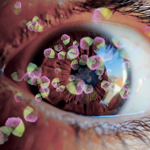 Floraison rétinienne Eric Koninckx