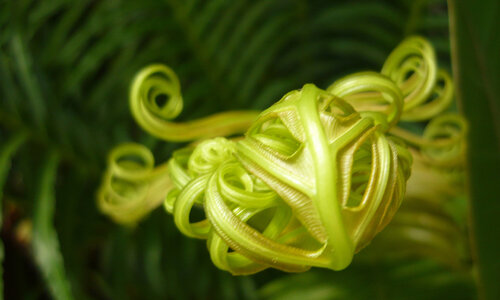 Prendre forme von Eric Koninckx, Fotografie kaufen auf Singulart