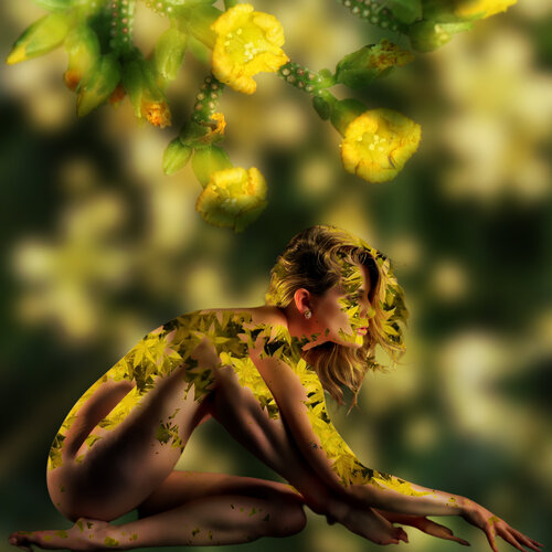 Métamorphose — Floral vert soleil von Eric Koninckx, Fotografie kaufen auf Singulart