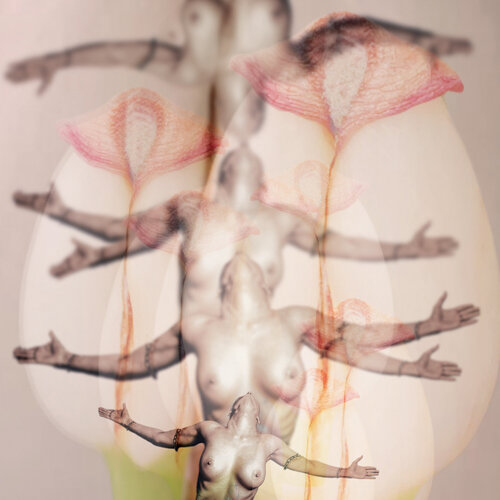 Naissance multiple — Fusion surréaliste di Eric Koninckx, Fotografia in vendita su Singulart