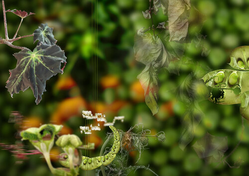 Fractures Fertiles — Les Éclats du Passage - 84x120 cm van Eric Koninckx, Fotografie te koop op Singulart