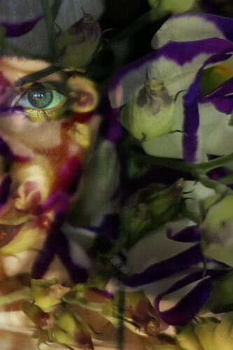 Métamorphose — Floral vert soleil de Eric Koninckx, Fotografía a la venta en Singulart