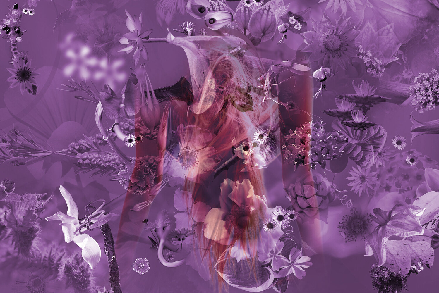 Respiration violette Eric Koninckx