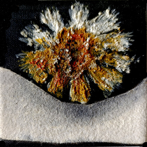 Chenille Psi 30 van Michel Constant, Schilderij te koop op Singulart