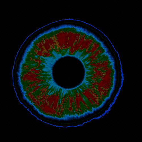Digitale Identität - Retinascan van Michael Siemann, Fotografie te koop op Singulart