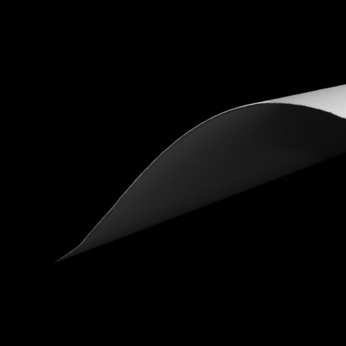 Flügel Michael Siemann