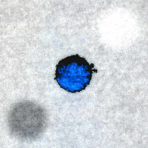 Fleck van Michael Siemann, Fotografie te koop op Singulart