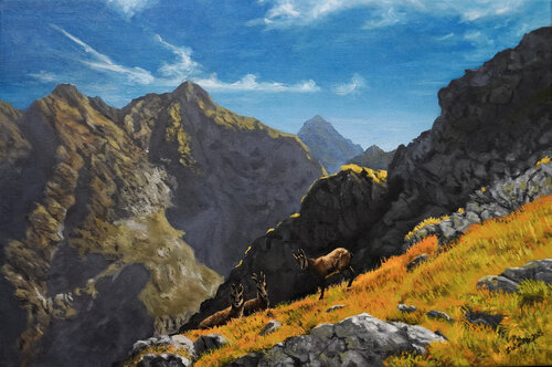 Unexpected Mountain Experience by Pavol Zlatovský, Painting for Sale on Singulart