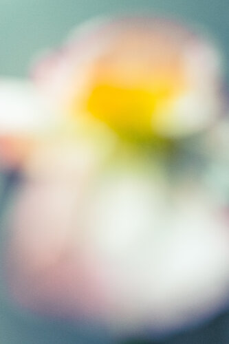 What Dreams Can You dream di Jo Kemp, Fotografia in vendita su Singulart