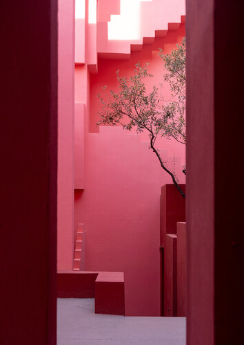Muralla Roja and the Olive Tree von Jo Kemp, Fotografie kaufen auf Singulart