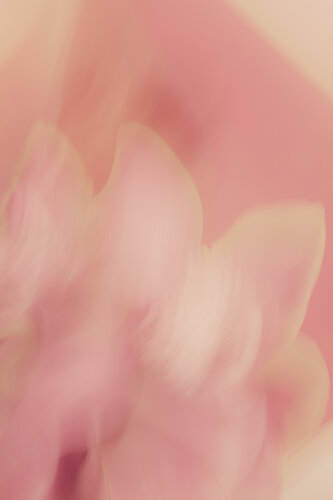 Spanda - Mudita di Jo Kemp, Fotografia in vendita su Singulart