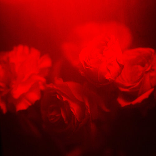 Desire di Jo Kemp, Fotografia in vendita su Singulart