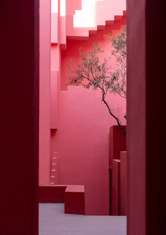 Muralla Roja and the Olive Tree Jo Kemp