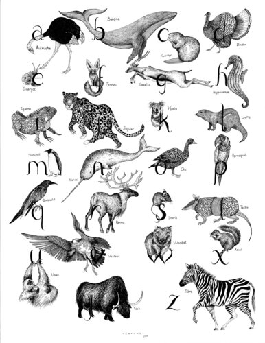 L' Abécédaire von La Baleine & La Corneille ., Zeichnungen kaufen auf Singulart