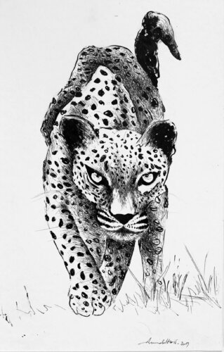 Panthère de Annabel Klein, Dibujo a la venta en Singulart